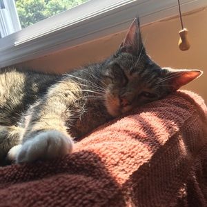 Meet your Posher, Sophie